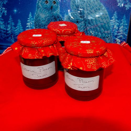 Jams & Produce Lifeboat Jersey